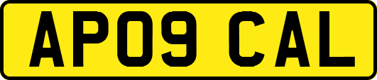 AP09CAL