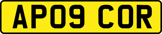 AP09COR