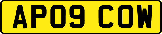 AP09COW