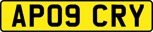 AP09CRY