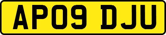 AP09DJU