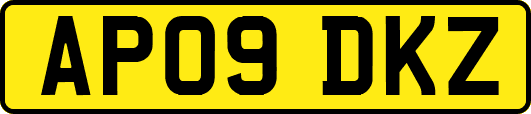 AP09DKZ