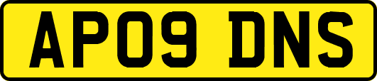 AP09DNS