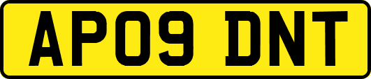 AP09DNT