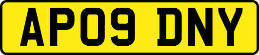 AP09DNY