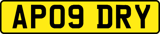AP09DRY