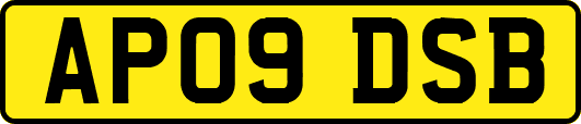 AP09DSB