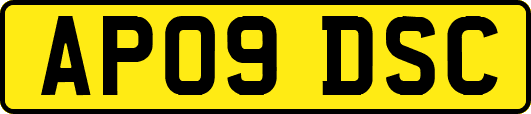 AP09DSC