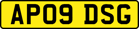 AP09DSG