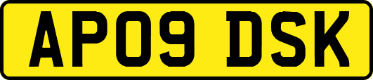 AP09DSK