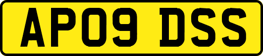 AP09DSS