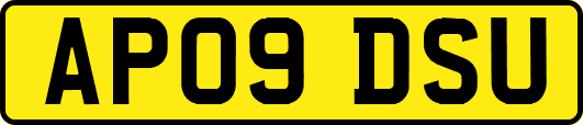 AP09DSU