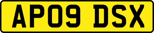 AP09DSX