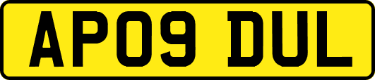 AP09DUL
