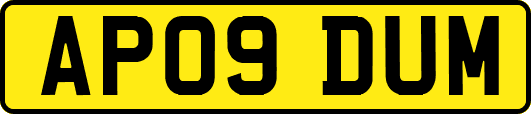 AP09DUM