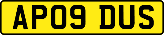 AP09DUS