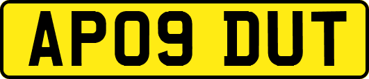 AP09DUT