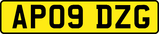 AP09DZG