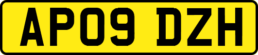 AP09DZH