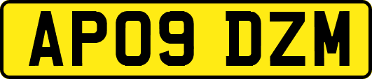 AP09DZM