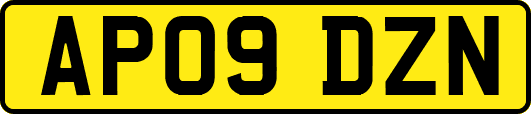 AP09DZN
