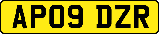 AP09DZR