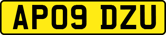 AP09DZU