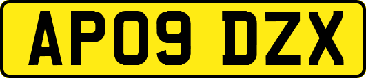 AP09DZX