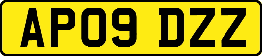 AP09DZZ