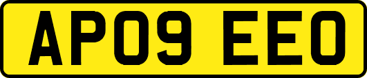 AP09EEO