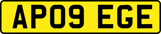 AP09EGE