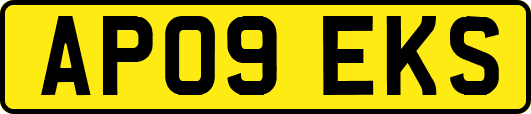 AP09EKS