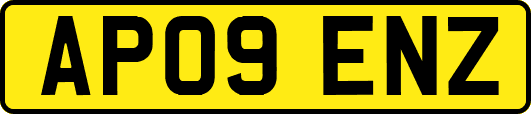 AP09ENZ