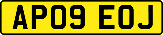 AP09EOJ