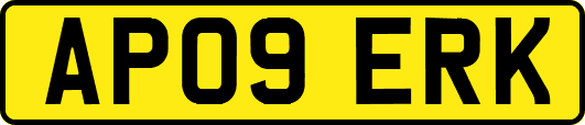 AP09ERK