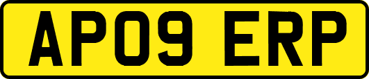 AP09ERP