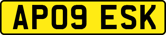 AP09ESK