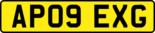 AP09EXG
