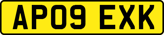 AP09EXK