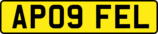 AP09FEL