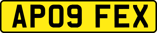 AP09FEX