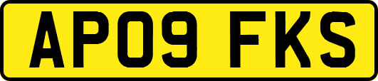 AP09FKS