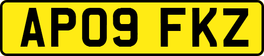 AP09FKZ