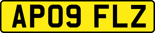 AP09FLZ