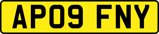 AP09FNY