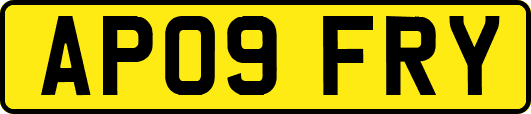 AP09FRY