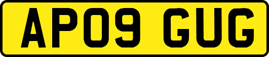 AP09GUG