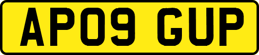 AP09GUP