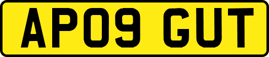 AP09GUT