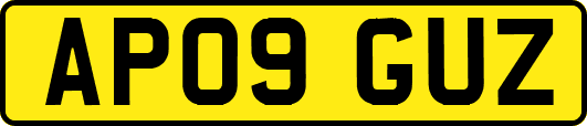 AP09GUZ